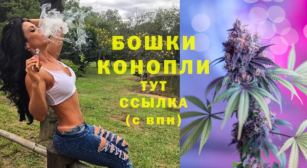 PSILOCYBIN Аркадак