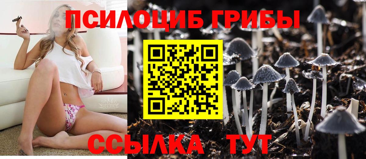 Псилоцибиновые грибы Cubensis  Галлюциногенные грибы мухоморы  Долгопрудный  Вход с VPN 